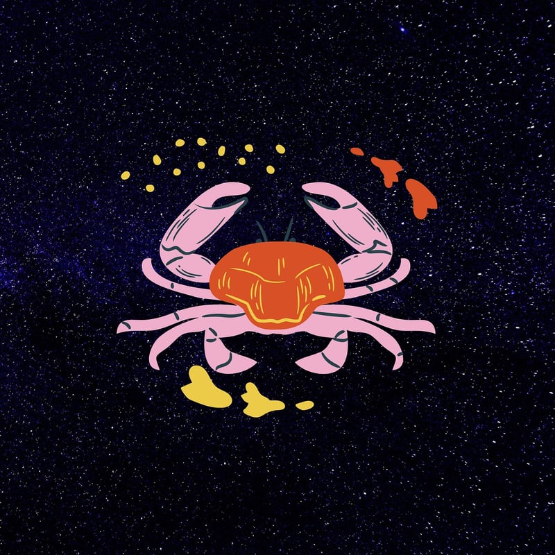 Constellation Wall Decals